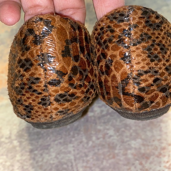 Steve Madden P-Heaven Patent Flat Ballet Style Shoe Snakeskin Leopard Pattern - Picture 2 of 14